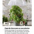 Antevisão Folheto LIDL Especial Jardinagem d24.jpg